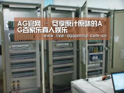 AG真人案例展示五