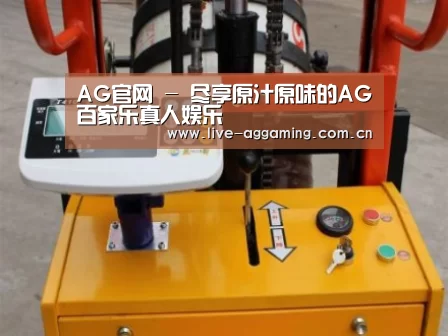 AG真人案例展示三