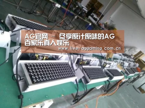 AG真人案例展示一