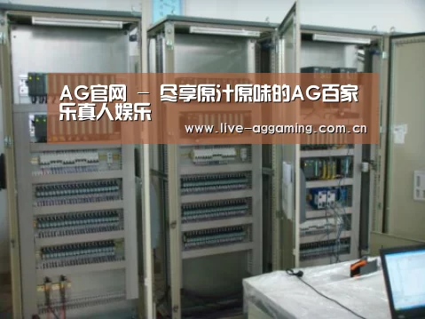 AG真人案例展示五(图1)
