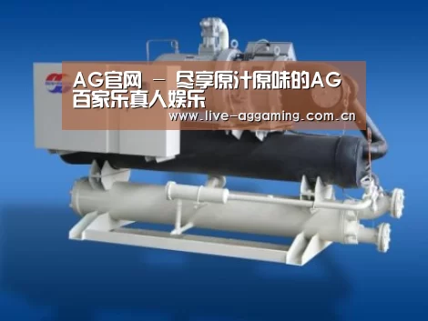 AG真人案例展示四
