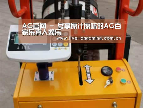 AG真人案例展示三(图1)